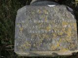 image of grave number 972806